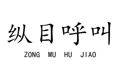 徐州縱目企業管理有限公司的logo